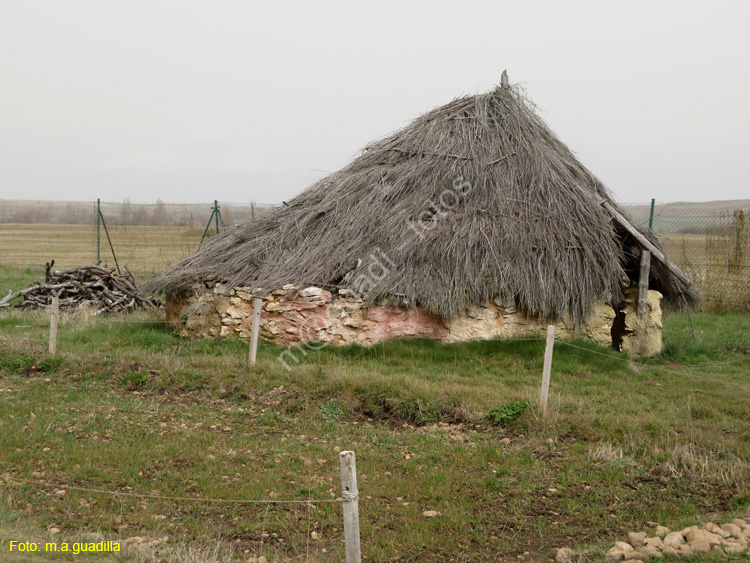 ATAPUERCA (161)