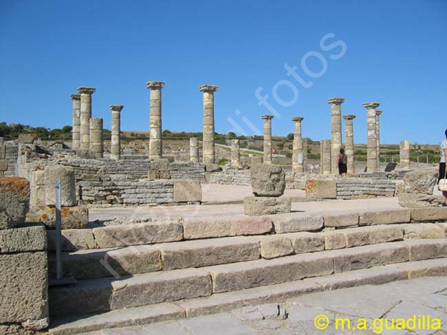 BAELO CLAUDIA - TARIFA 010 Basilica