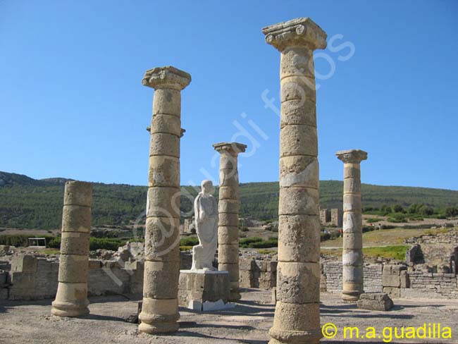 BAELO CLAUDIA - TARIFA 012 Basilica