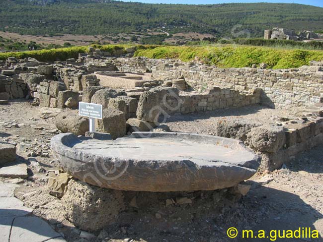 BAELO CLAUDIA - TARIFA 018 labrum