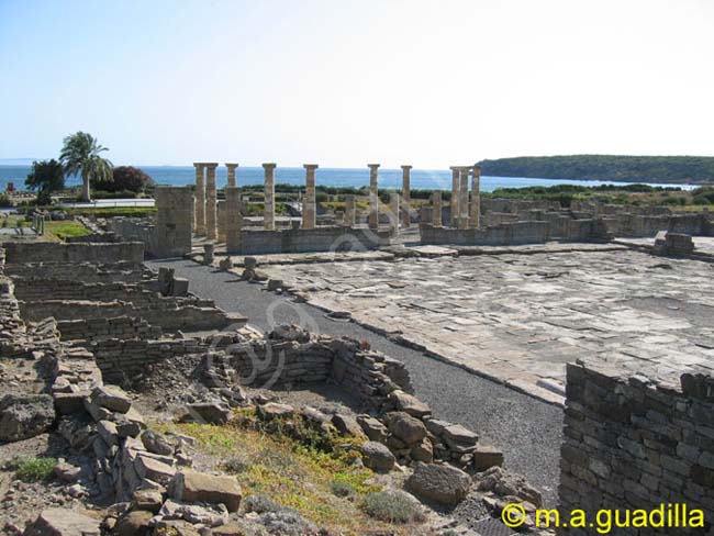 BAELO CLAUDIA - TARIFA 029