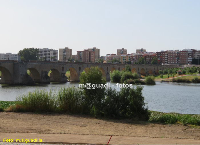 BADAJOZ (110)