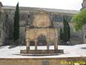 BAEZA 043 Fuente de Santa Maria