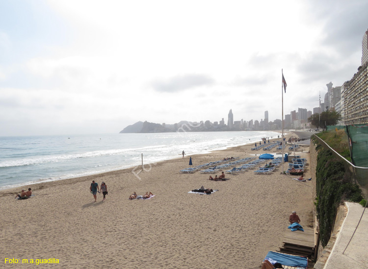 BENIDORM (102) Playa de Poniente