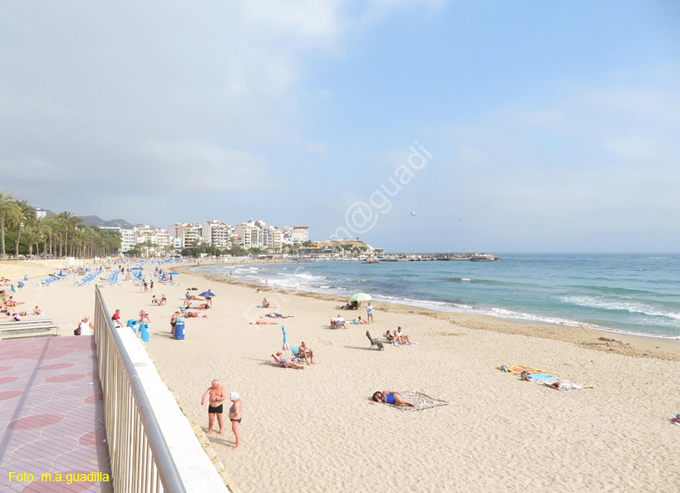 BENIDORM (103) Playa de Poniente