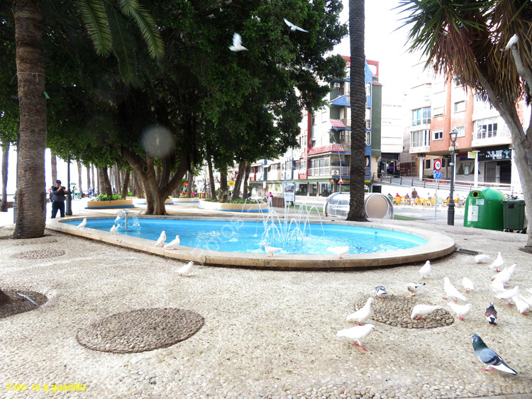 BENIDORM (109) Parque de Elche