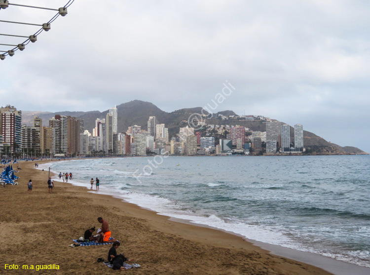 BENIDORM (114) Playa de Levante