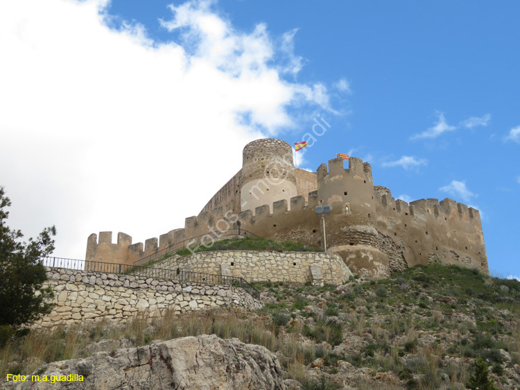 BIAR (101) Castillo