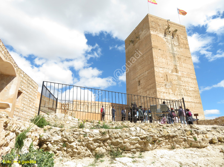 BIAR (109) Castillo