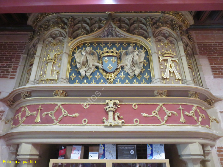 BLOIS (206) Castillo Real