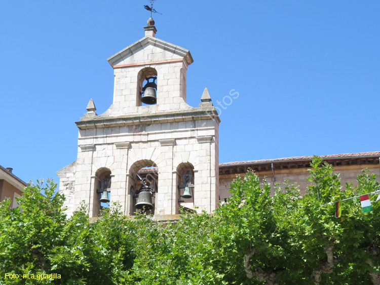 BRIVIESCA (140) Iglesia de San Martin