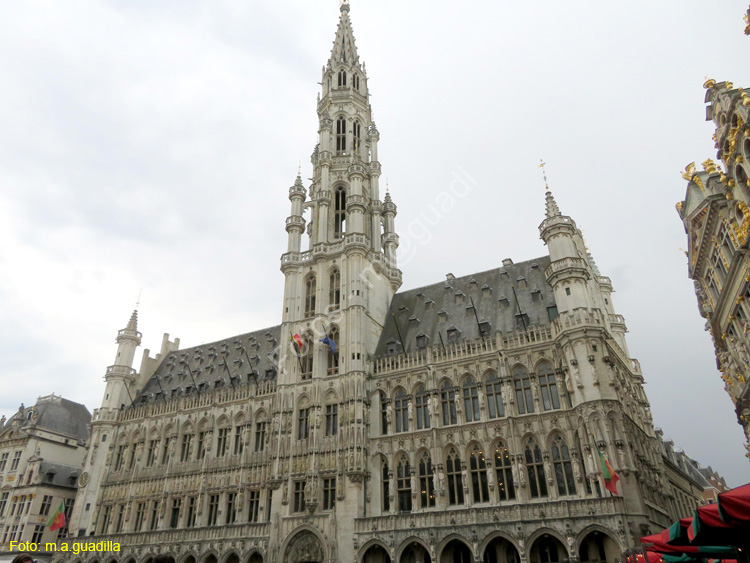 BRUSELAS (175) Grand Place - Ayuntamiento
