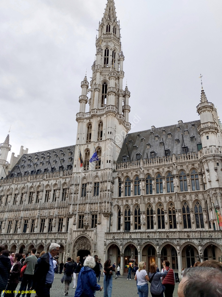 BRUSELAS (249) Grand Place