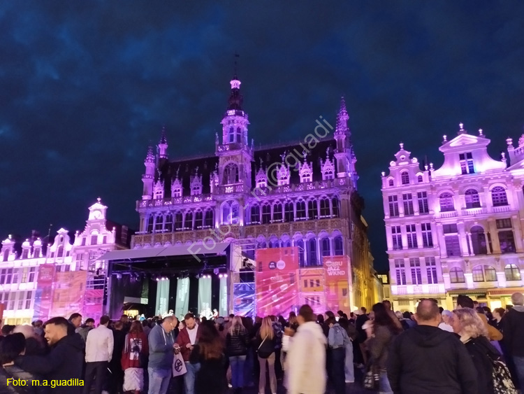 BRUSELAS (254) Grand Place