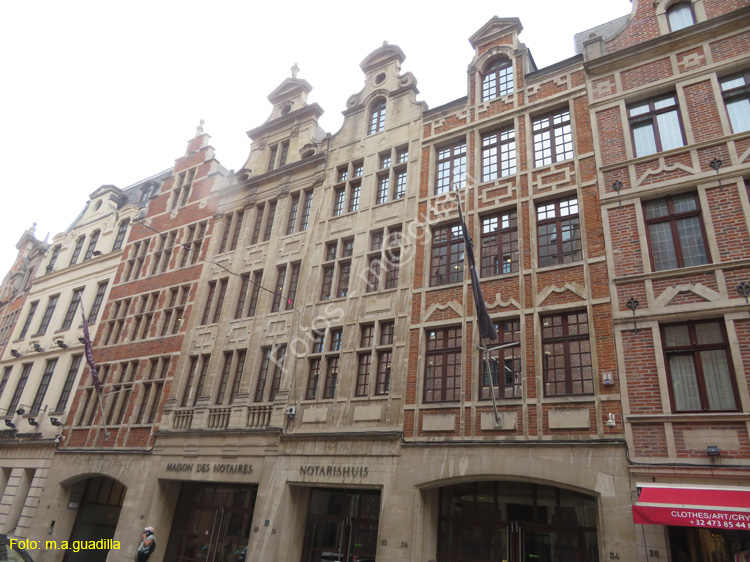 BRUSELAS (349) cl. Bergstraat