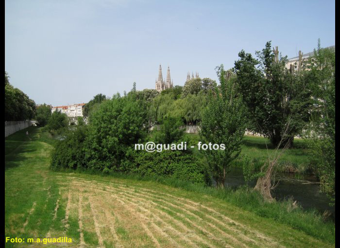 BURGOS (121)