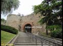 BURGOS (239) ARCO DE SAN MARTIN