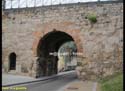 BURGOS (241) ARCO DE SAN MARTIN