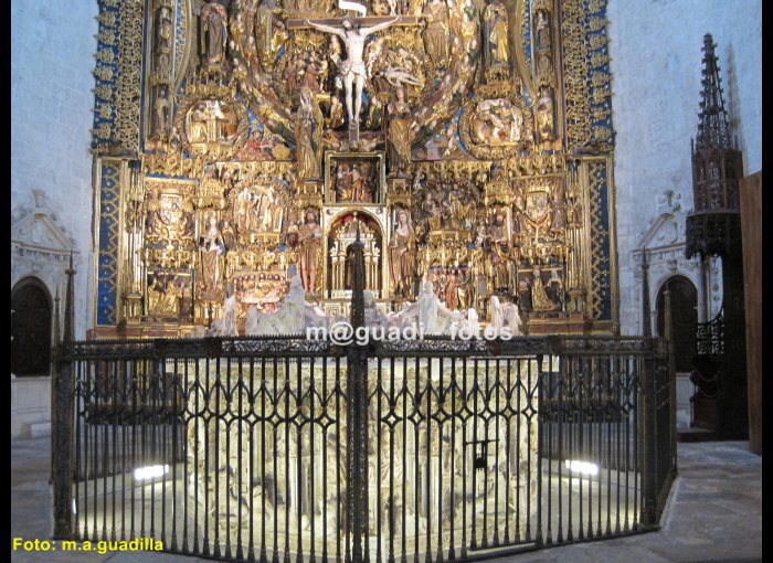 CARTUJA DE MIRAFLORES (118)