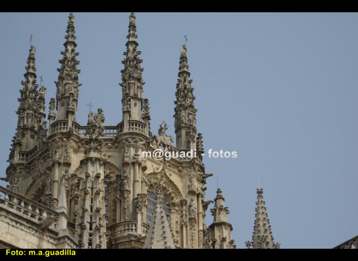 BURGOS - CATEDRAL (106)