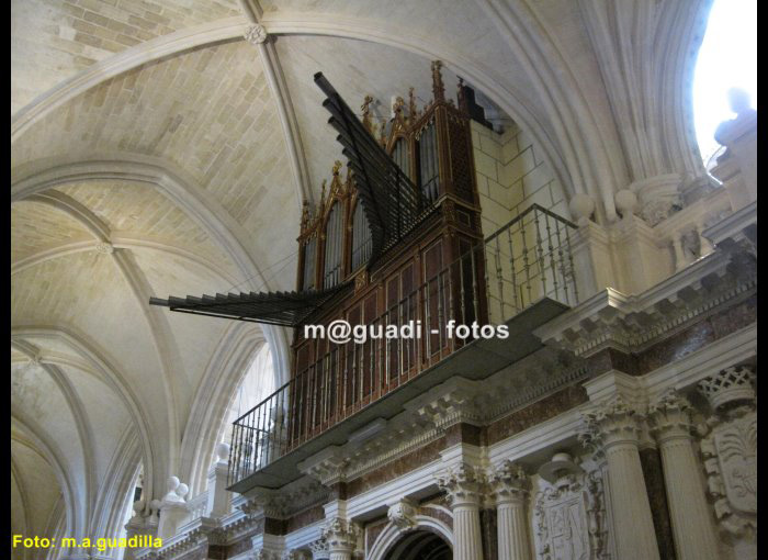 BURGOS - CATEDRAL (159)