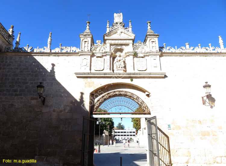 Burgos (110) Hospital del Rey