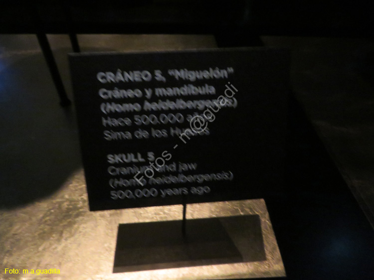 Burgos (113) Museo y Forum de la Evolucion