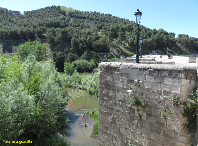 CABEZON DE PISUERGA (124)