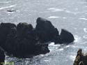 Cabo Ortegal (113)