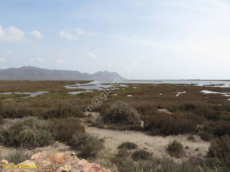 CABO DE GATA (101) La Albufera - Mirador de las Salinas