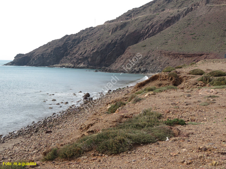 CABO DE GATA (144) Faro de Cabo de Gata