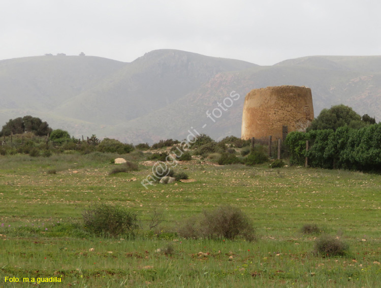 CABO DE GATA (249) Rodalquilar - Torre de los Alumbres