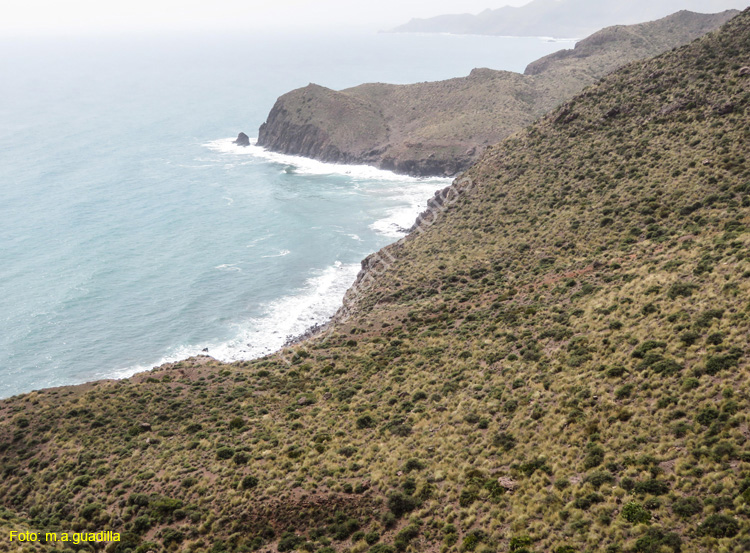 CABO DE GATA (261) Mirador de la Amatista