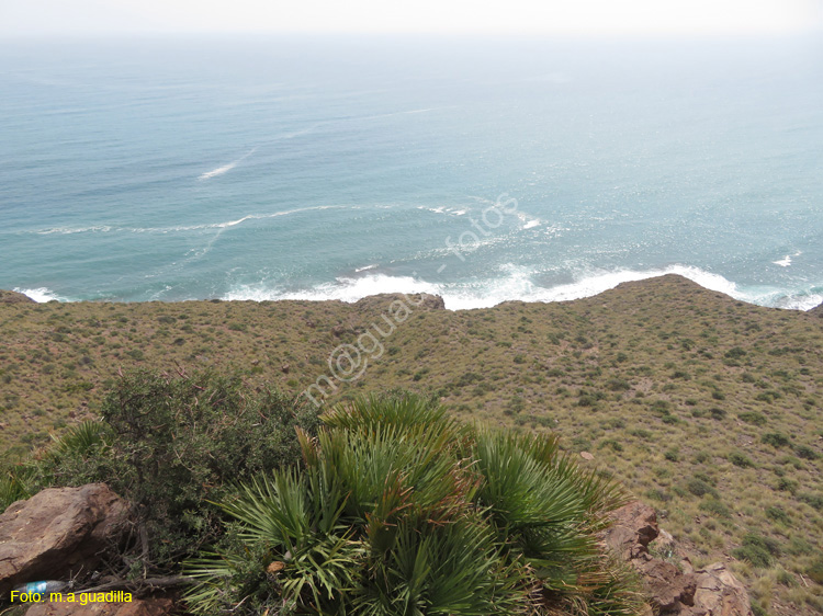 CABO DE GATA (262) Mirador de la Amatista