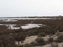 CABO DE GATA (103) La Albufera - Mirador de las Salinas