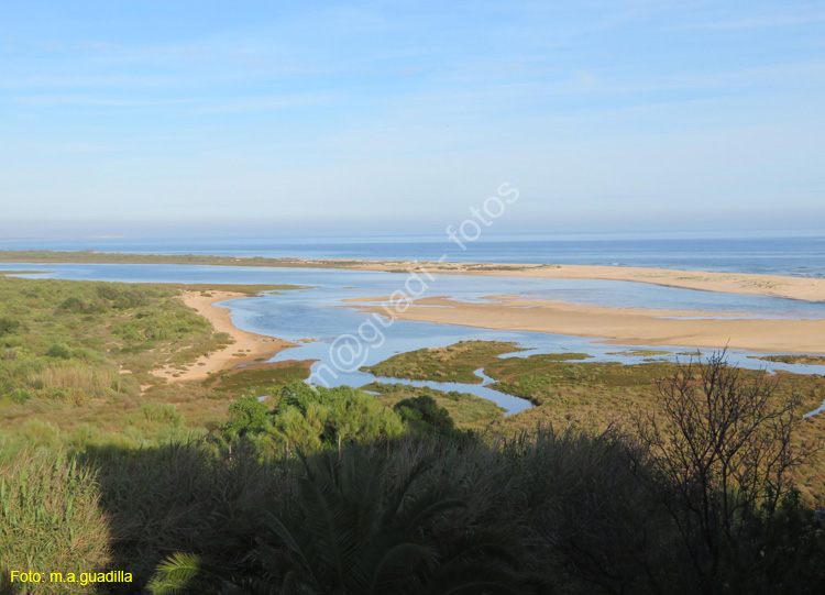 CACELA VELHA (121) Ria Formosa