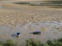 CACELA VELHA (120) Ria Formosa