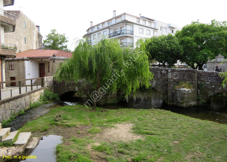 Caldas de Reis (136) Puente BermaNa