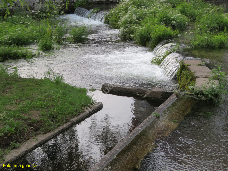 Caldas de Reis (137) Puente BermaNa