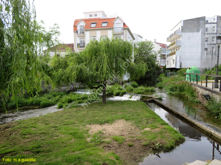 Caldas de Reis (139) Puente BermaNa