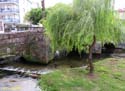 Caldas de Reis (138) Puente BermaNa