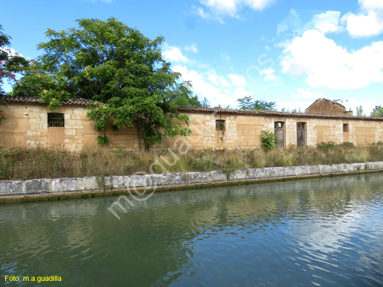 MEDINA DE RIOSECO - CANAL DE CASTILLA (104)