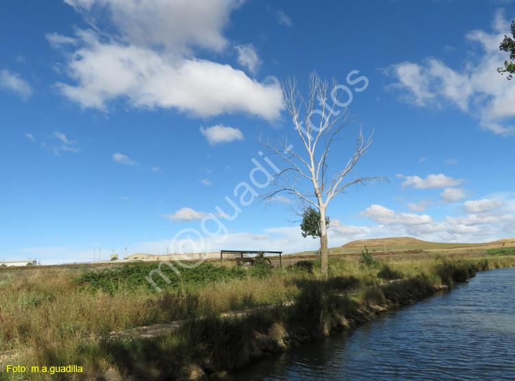 MEDINA DE RIOSECO - CANAL DE CASTILLA (107)