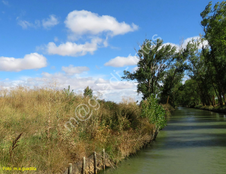 MEDINA DE RIOSECO - CANAL DE CASTILLA (109)