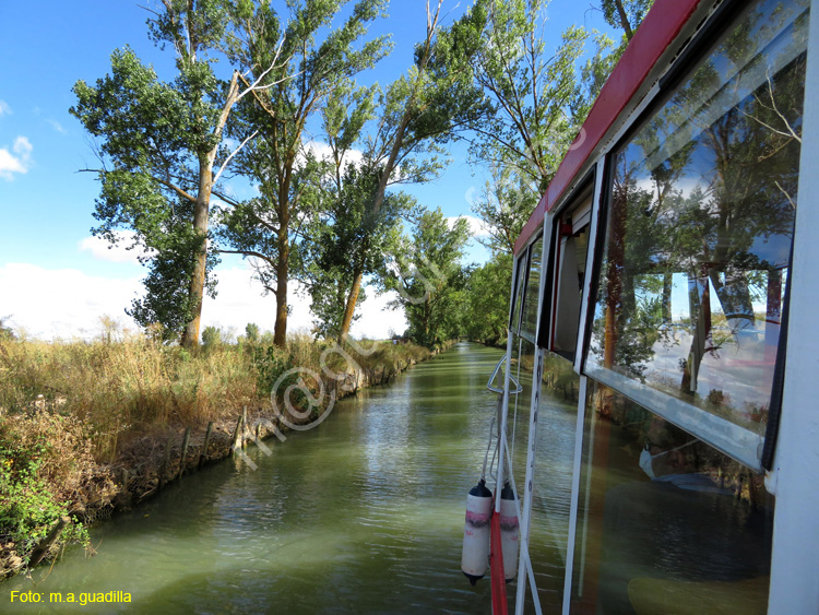 MEDINA DE RIOSECO - CANAL DE CASTILLA (110)