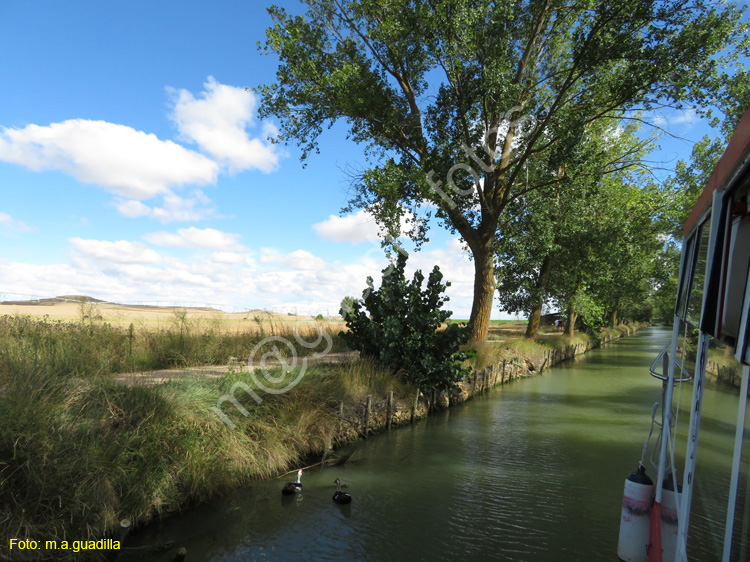 MEDINA DE RIOSECO - CANAL DE CASTILLA (111)