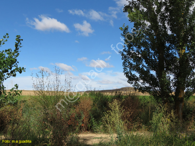 MEDINA DE RIOSECO - CANAL DE CASTILLA (112)