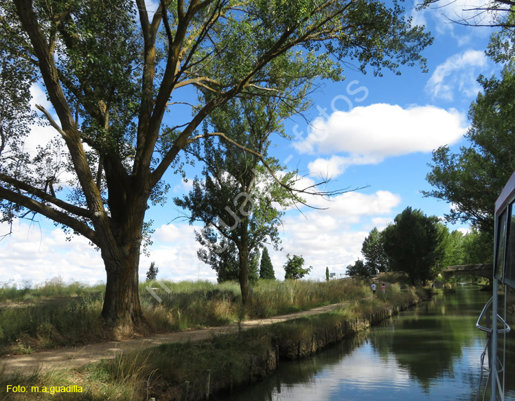 MEDINA DE RIOSECO - CANAL DE CASTILLA (114)