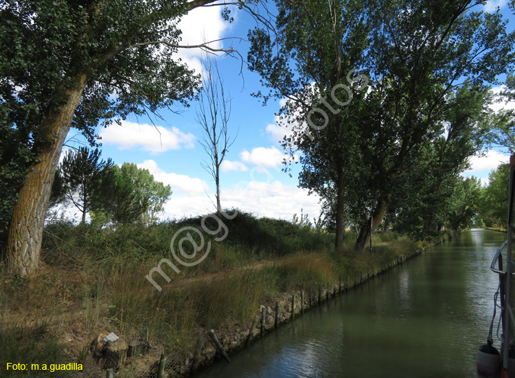 MEDINA DE RIOSECO - CANAL DE CASTILLA (117)