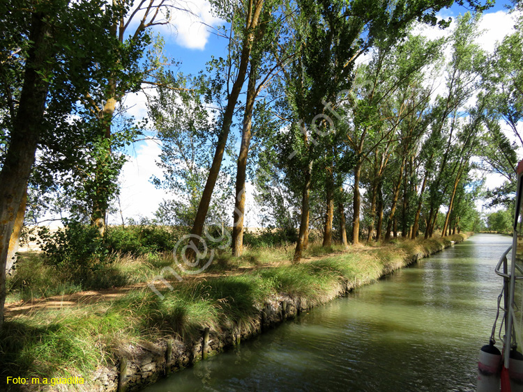 MEDINA DE RIOSECO - CANAL DE CASTILLA (118)